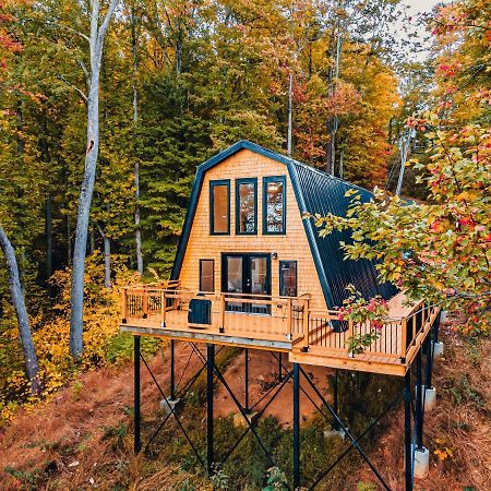 Secluded Mtn View New! 10 Mins To Gatlinburg Or Park Villa Luaran gambar