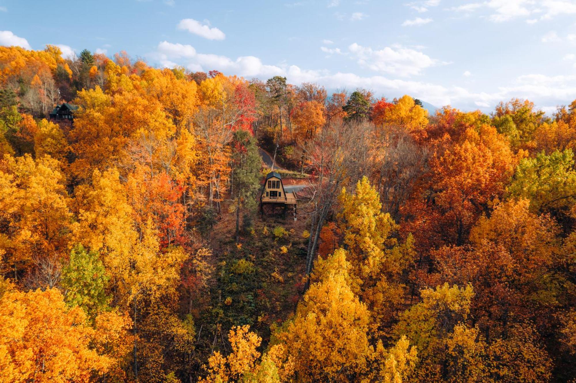 Secluded Mtn View New! 10 Mins To Gatlinburg Or Park Villa Luaran gambar